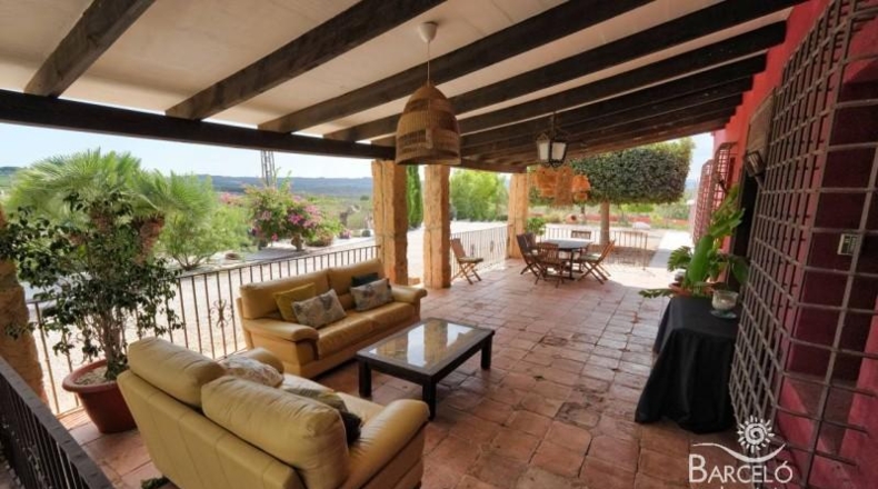 Alicante - Orihuela - 13600m2
