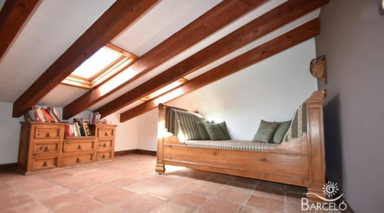Alicante - Orihuela - 13600m2