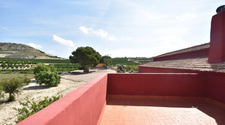 Alicante - Orihuela - 13600m2