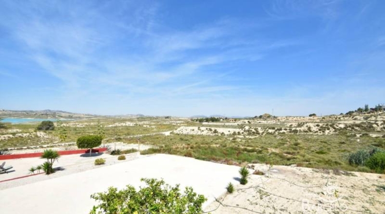 Alicante - Orihuela - 13600m2