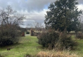 Chalet independiente con terreno en venta en la España, Navas de Riofrío, ref: TR377582 foto
