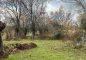 Chalet independiente con terreno en venta en la España, Navas de Riofrío, ref: TR377582 foto