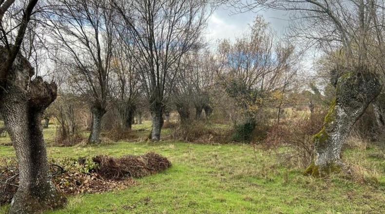 Сеговия - Navas de Riofrío - 19200m2