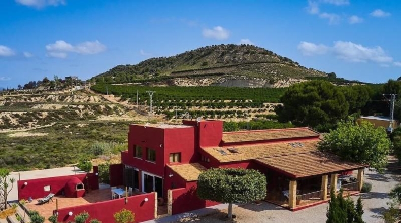 Alicante - Orihuela - 13700m2