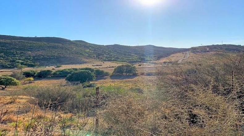 Malaga - Manilva - 33865m2