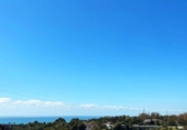 Xalet independent amb terreny en venda a la España, Marbella, ref.: TR239796 foto