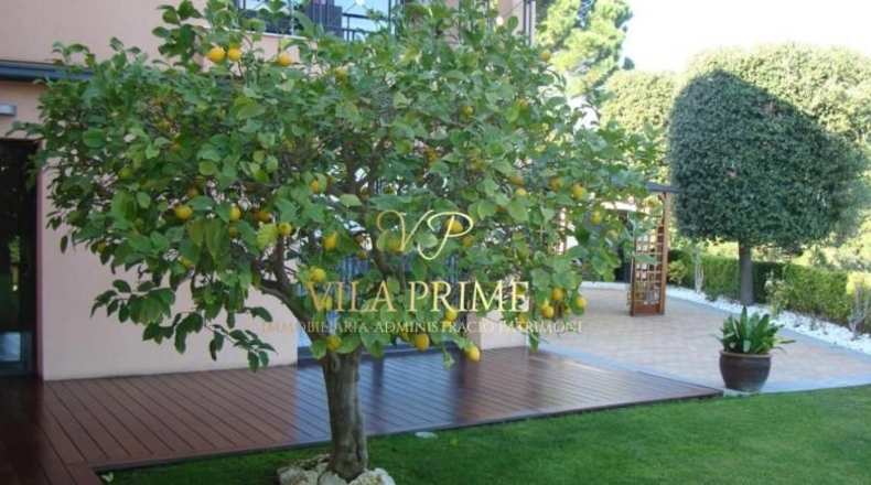 Barcelona - Calella - 1350m2