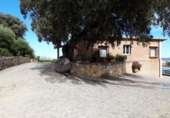Xalet independent amb terreny en venda a la España, Ronda, ref.: TR169392 foto