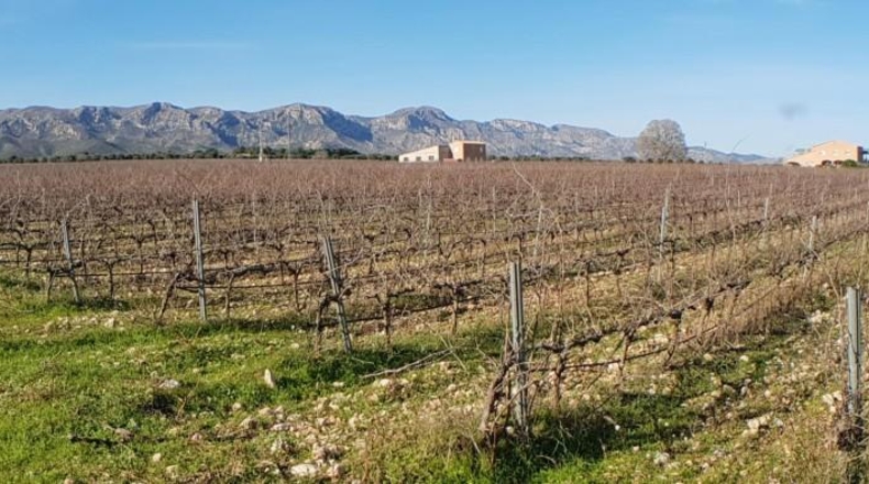 Tarragona - el Perelló - 60000m2