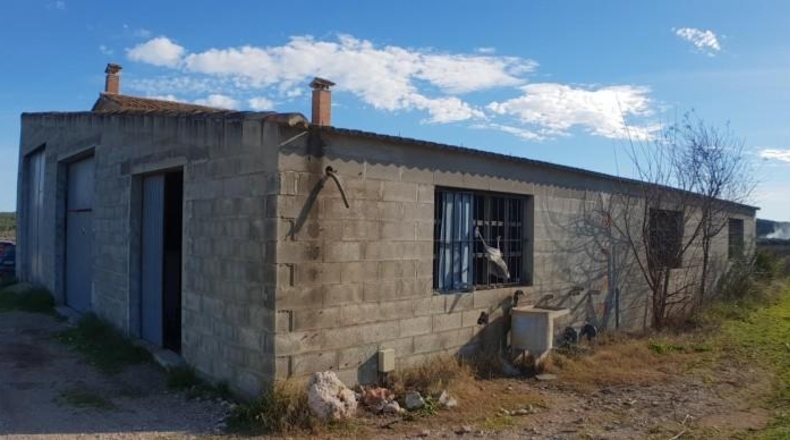Tarragona - el Perelló - 60000m2