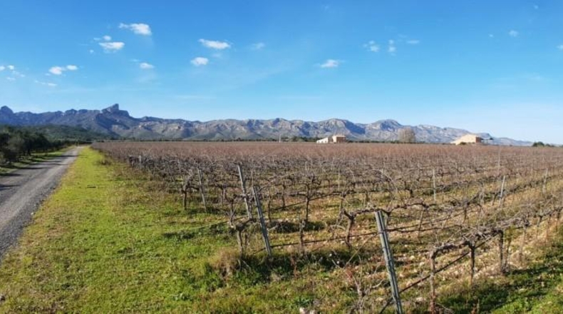 Tarragona - el Perelló - 60000m2