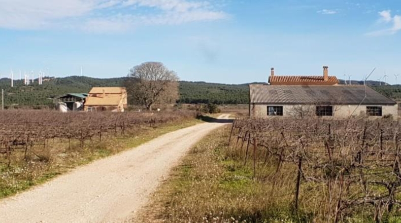 Tarragona - el Perelló - 60000m2