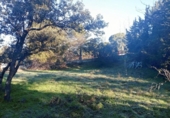Sòl urbà en venda a la España, Las Rozas de Madrid, ref.: TR127590 foto