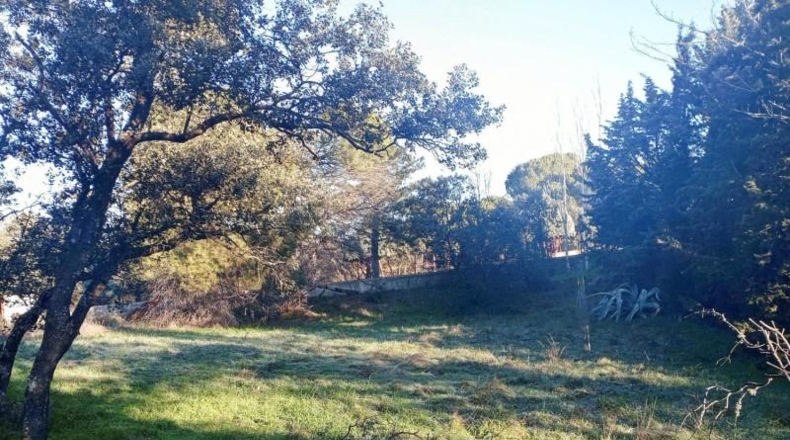 Comunidad de Madrid - Las Rozas de Madrid - 3695m2