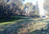 Sòl urbà en venda a la España, Las Rozas de Madrid, ref.: TR127590 foto