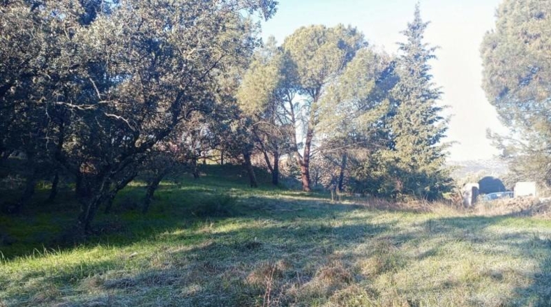 Comunidad de Madrid - Las Rozas de Madrid - 3695m2