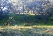 Sòl urbà en venda a la España, Las Rozas de Madrid, ref.: TR127590 foto