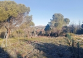 Sòl urbà en venda a la España, Las Rozas de Madrid, ref.: TR127590 foto