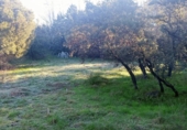 Sòl urbà en venda a la España, Las Rozas de Madrid, ref.: TR127590 foto