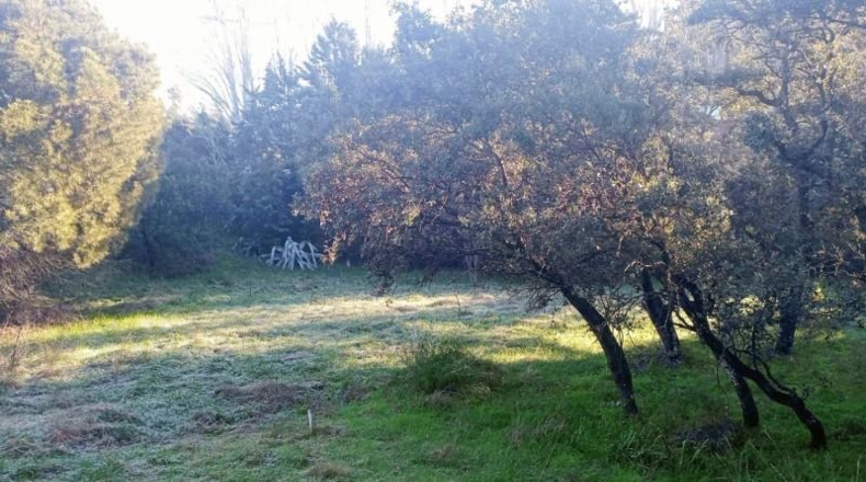 Comunidad de Madrid - Las Rozas de Madrid - 3695m2