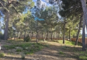 Xalet independent amb terreny en venda a la España, Altea, ref.: TR240424 foto