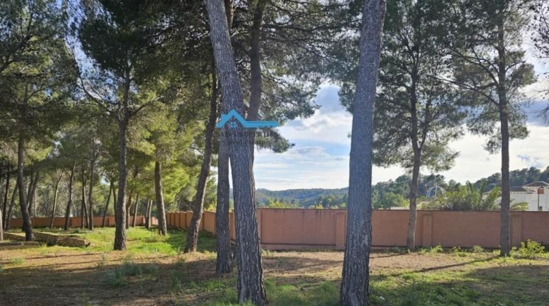Alicante - Altea - 54000m2