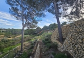 Xalet independent amb terreny en venda a la España, Altea, ref.: TR240424 foto