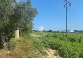 Chalet independiente con terreno en venta en la España, Vilanova i la Geltrú, ref: TR140681 foto
