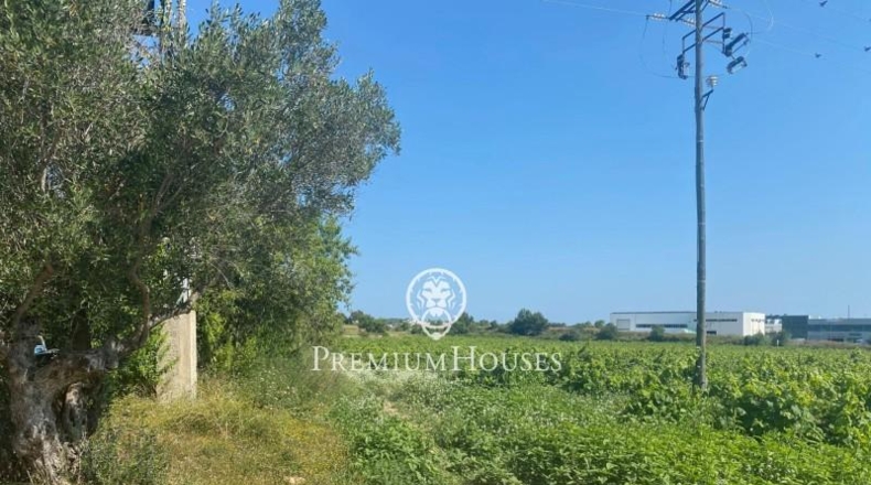 Barcelona - Vilanova i la Geltrú - 2141m2