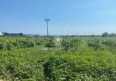 Chalet independiente con terreno en venta en la España, Vilanova i la Geltrú, ref: TR140681 foto