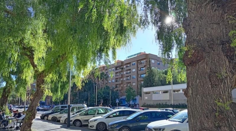 Valencia - Torrente - 701m2