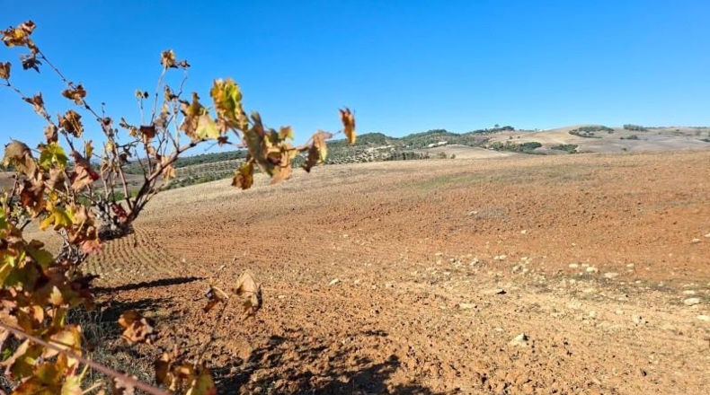 Кадис - El Bosque - 750000m2