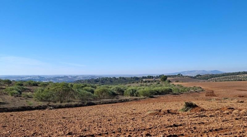 Кадис - El Bosque - 750000m2