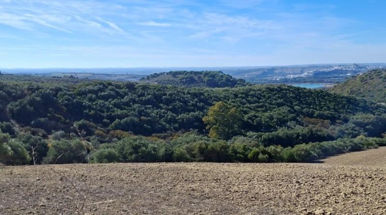 Кадис - El Bosque - 750000m2