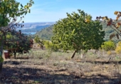 Xalet independent amb terreny en venda a la España, El Bosque, ref.: TR364073 foto