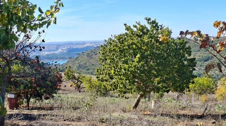 Кадис - El Bosque - 750000m2