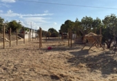 Xalet independent amb terreny en venda a la España, Campo-Mijas, ref.: TR344209 foto