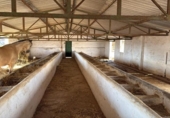 Xalet independent amb terreny en venda a la España, Campo-Mijas, ref.: TR344209 foto