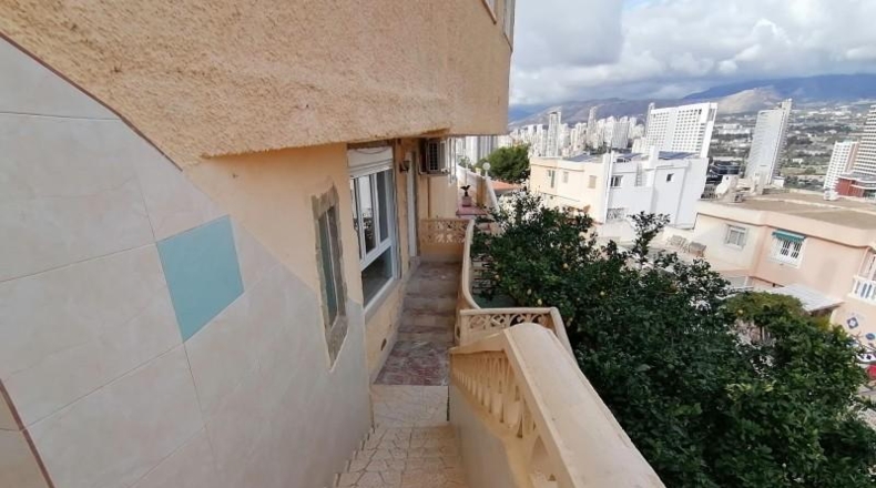 Alicante - Benidorm - 900m2