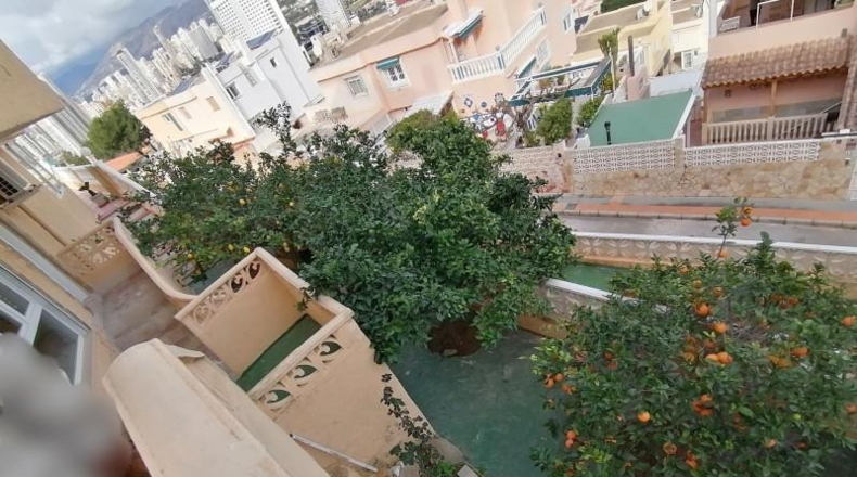 Alicante - Benidorm - 900m2