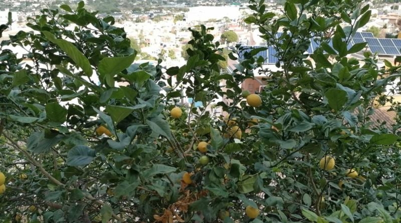 Alicante - Benidorm - 900m2
