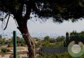 Chalet independiente con terreno en venta en la España, l'Ametlla de Mar, ref: TR140981 foto