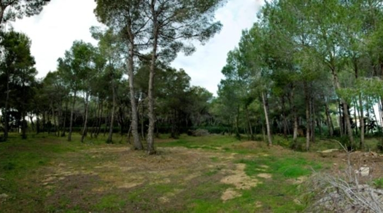 Alicante - Denia - 15000m2