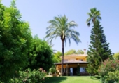 Xalet independent amb terreny en venda a la España, Dénia, ref.: TR148331 foto