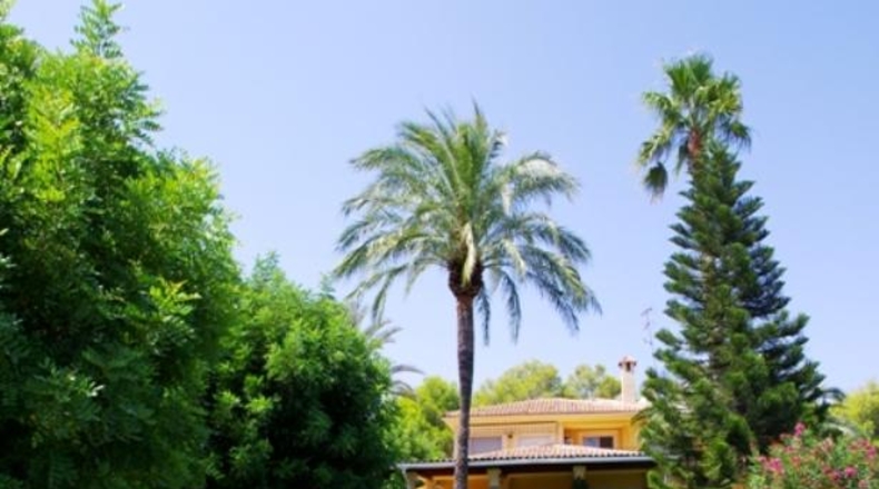 Alicante - Denia - 15000m2