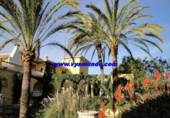 Casa de camp amb terreny en venda a la España, l'Alfàs del Pi, ref.: TR133853 foto