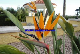 Foto 14