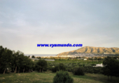 Casa de camp amb terreny en venda a la España, l'Alfàs del Pi, ref.: TR133853 foto