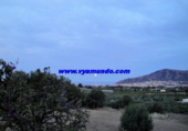 Casa de camp amb terreny en venda a la España, l'Alfàs del Pi, ref.: TR133853 foto