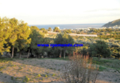 Casa de camp amb terreny en venda a la España, l'Alfàs del Pi, ref.: TR133853 foto